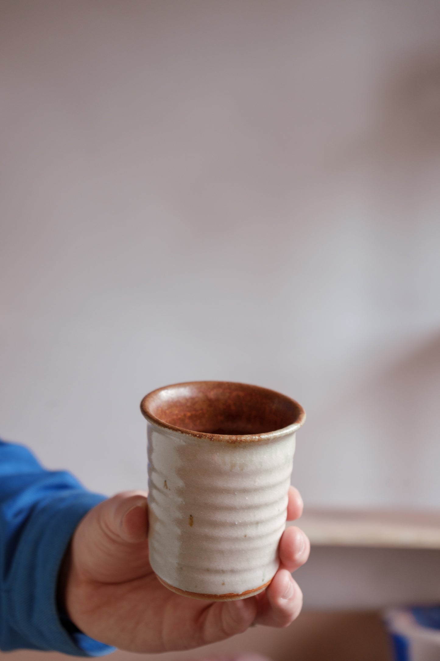 Iron & Ash Glazed Stoneware Tumbler